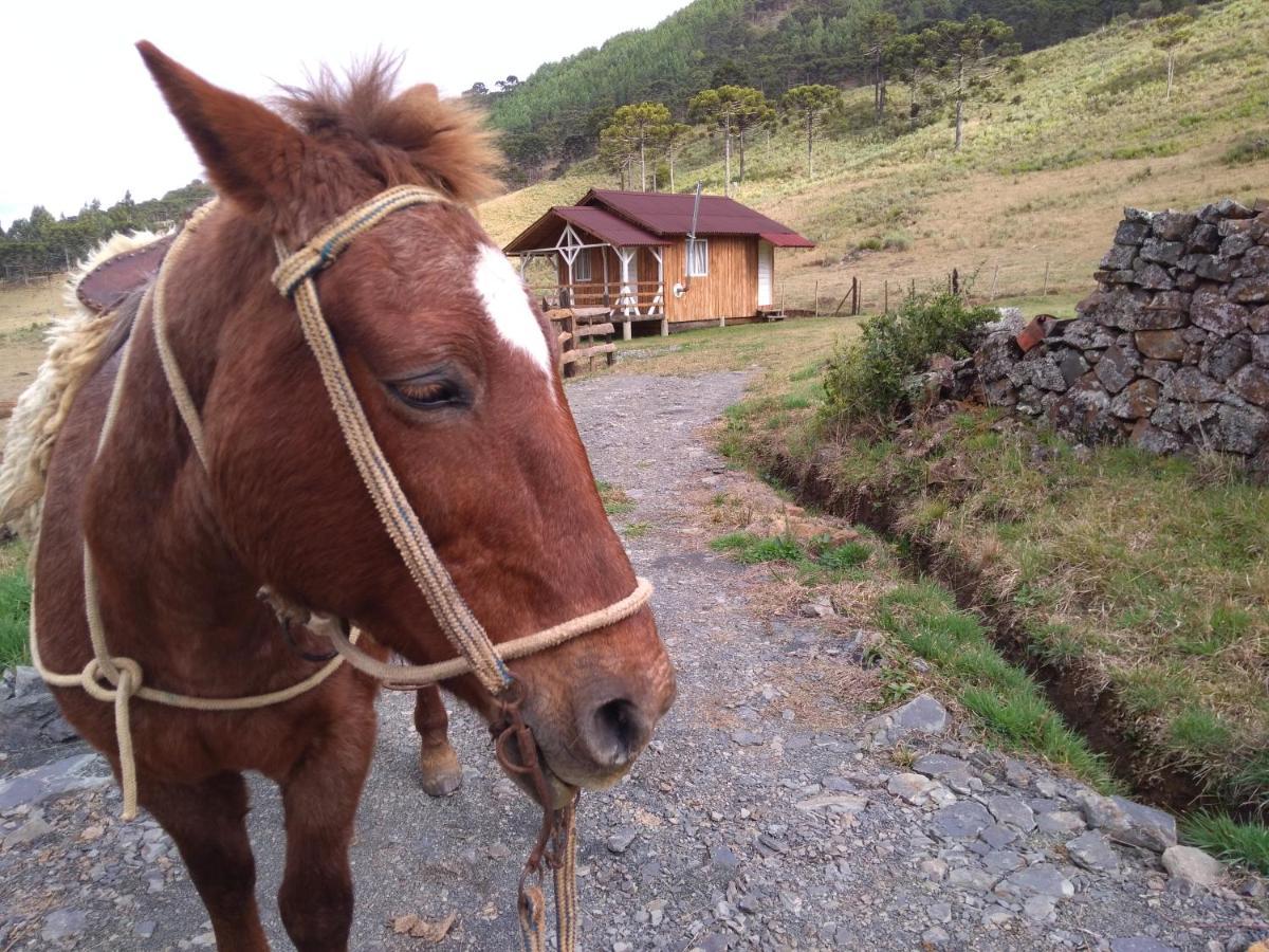 Cabanas Fazenda Da Raia Urubici Zewnętrze zdjęcie